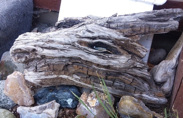 21 Optical Illusions That Freaked People Out.