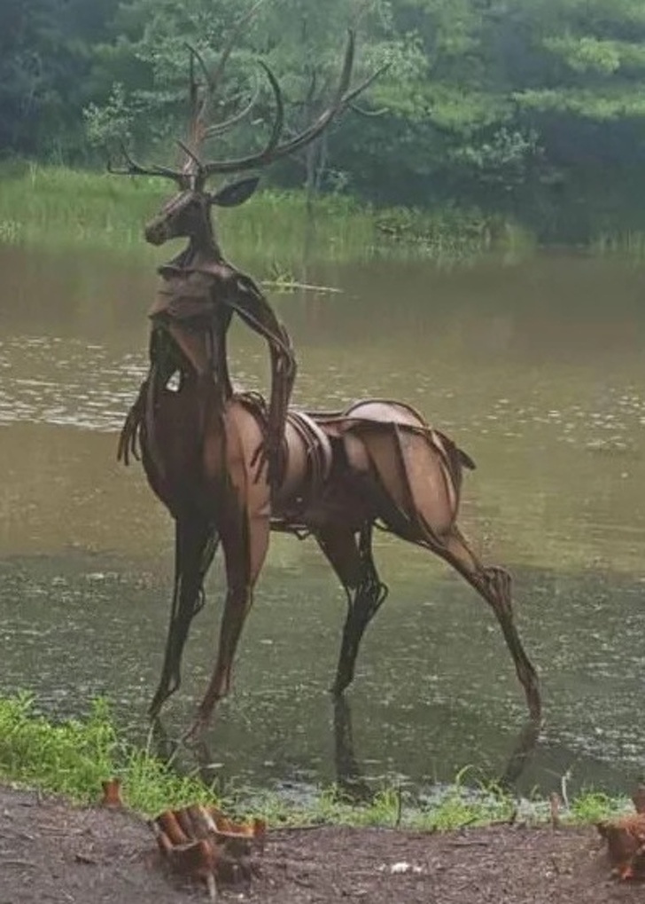 21 Optical Illusions That Freaked People Out.