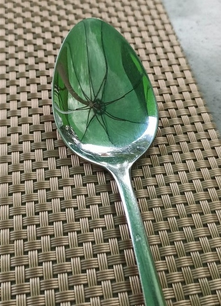 21 Optical Illusions That Freaked People Out.