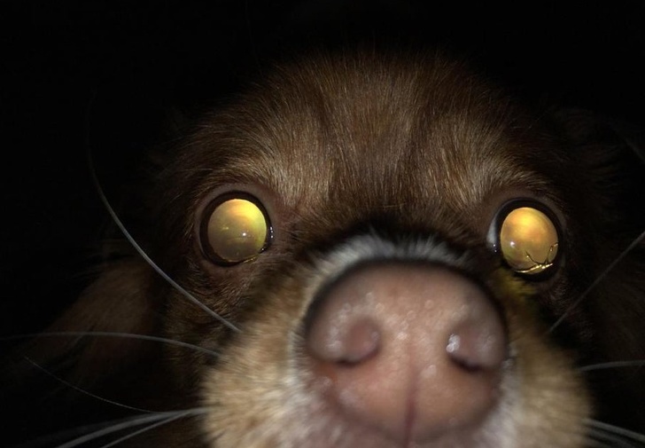 21 Optical Illusions That Freaked People Out.