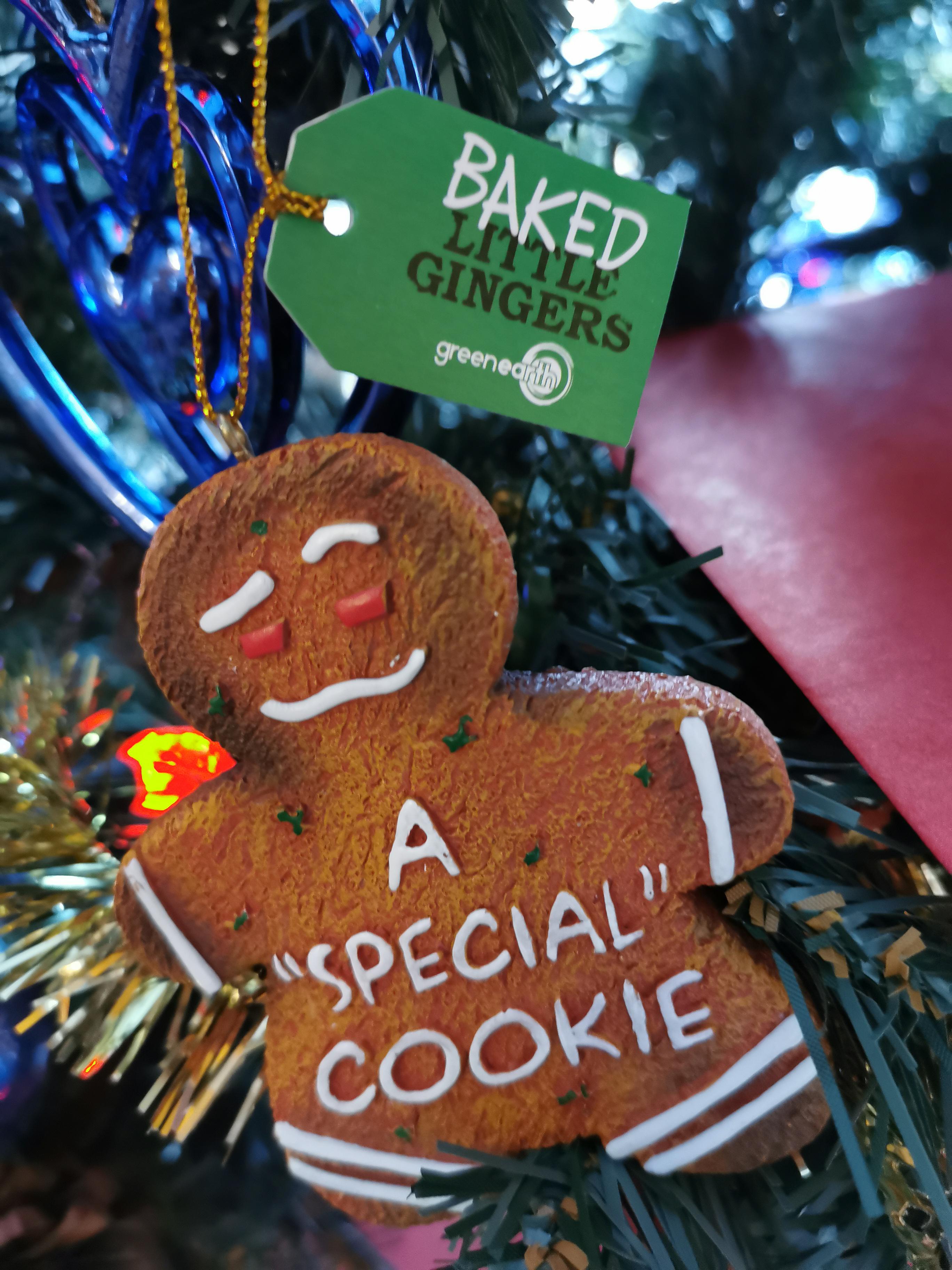 christmas ornament - Baked L Gingers greened "Special" Cookie