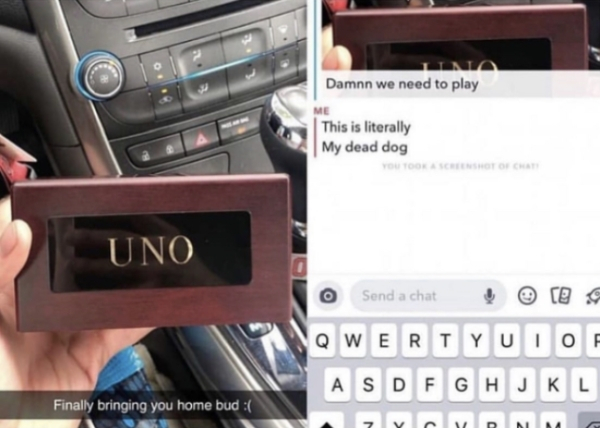 literally my dead dog - Damon we need to play Damnn we need to play Me This is literally My dead dog Uno o Send a chat ce Qwertyuio Asdfghjkl Finally bringing you home bud