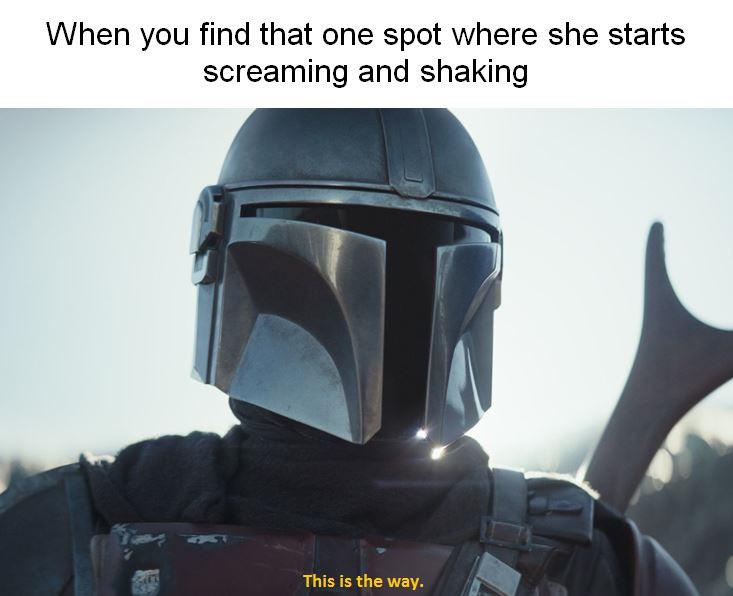star wars mandalorian - When you find that one spot where she starts screaming and shaking This is the way.