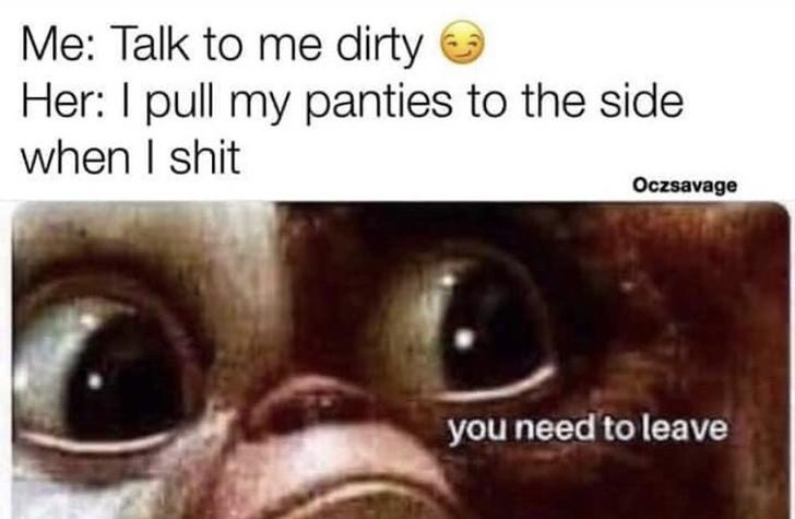 dirty bae memes - Me Talk to me dirty Her I pull my panties to the side when I shit Oczsavage you need to leave