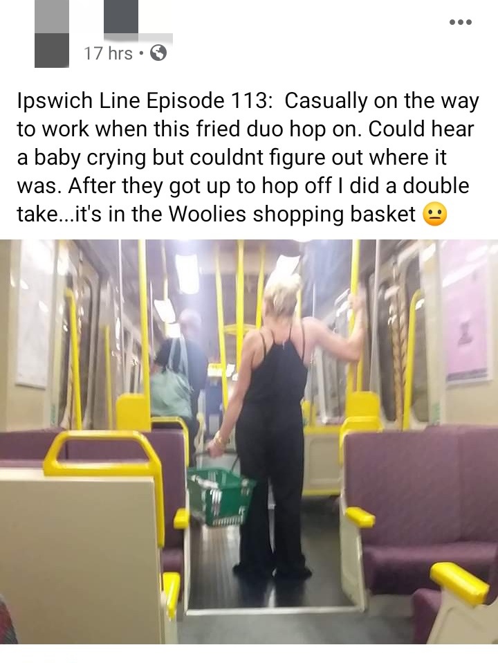 presentation - 17 hrs Ipswich Line Episode 113 Casually on the way to work when this fried duo hop on. Could hear a baby crying but couldnt figure out where it was. After they got up to hop off I did a double take...it's in the Woolies shopping basket