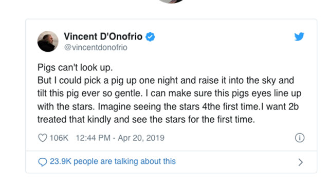 document - Vincent D'Onofrio Pigs can't look up. But I could pick a pig up one night and raise it into the sky and tilt this pig ever so gentle. I can make sure this pigs eyes line up with the stars. Imagine seeing the stars 4the first time.I want 2b trea