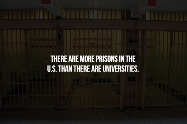 mhp - There Are More Prisons In The U.S. Than There Are Universities.