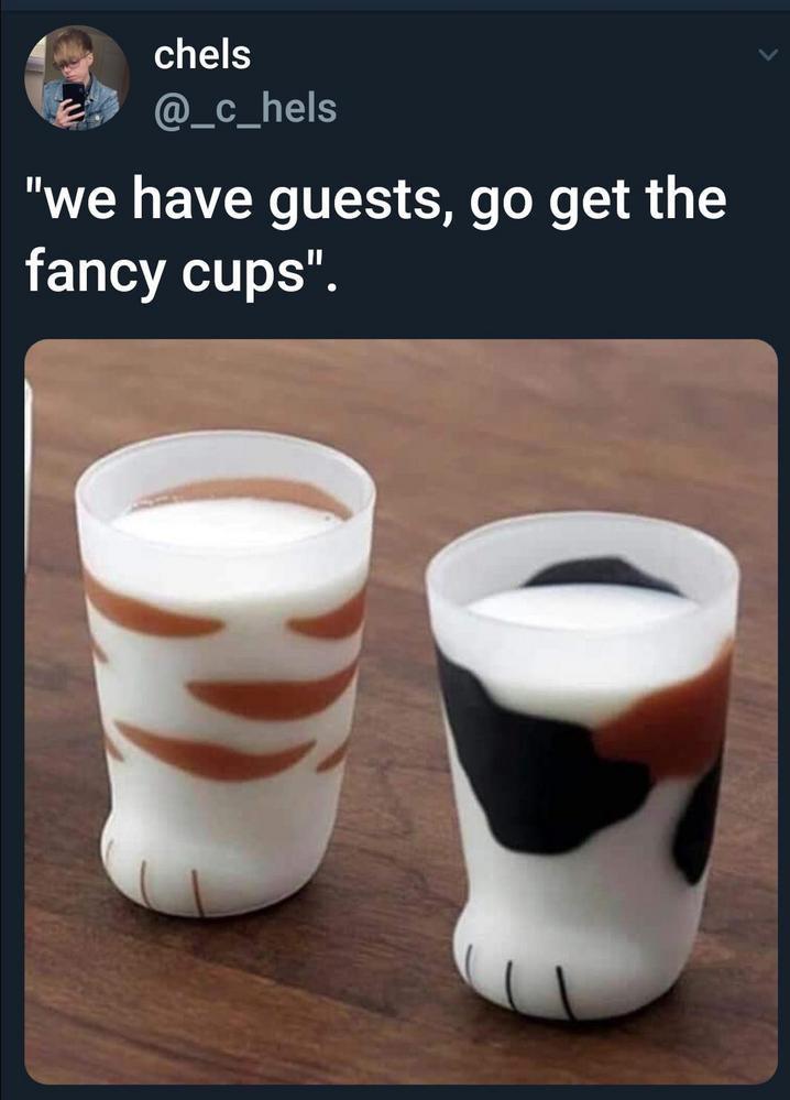 we have guests go get the fancy cups - chels "we have guests, go get the fancy cups".