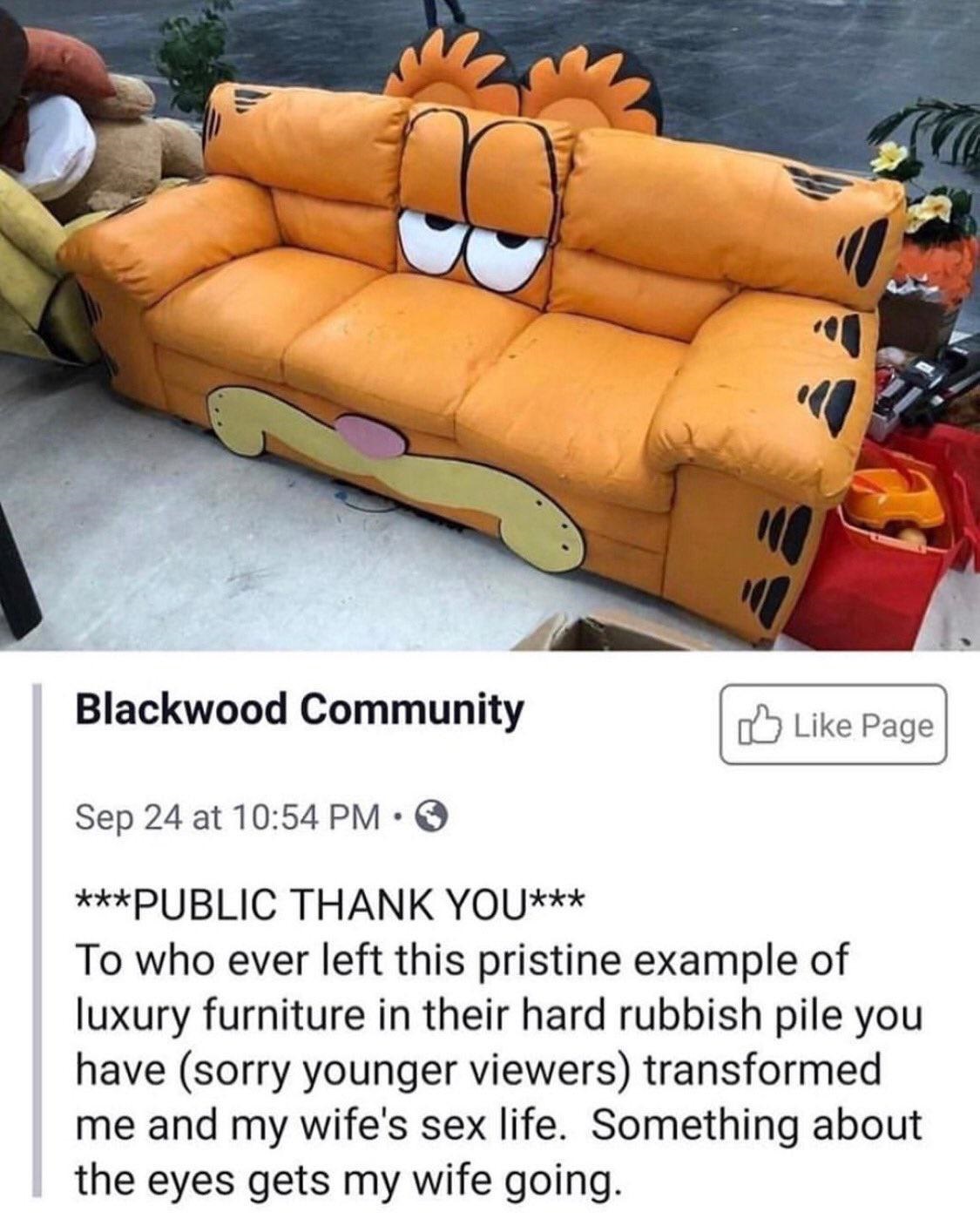 garfield couch meme - Blackwood Community Page Sep 24 at Public Thank You To who ever left this pristine example of luxury furniture in their hard rubbish pile you have sorry younger viewers transformed me and my wife's sex life. Something about the eyes 
