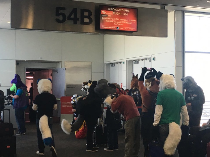 “Apparently I booked a business trip on a furry flight. I’m the only non-furry.”