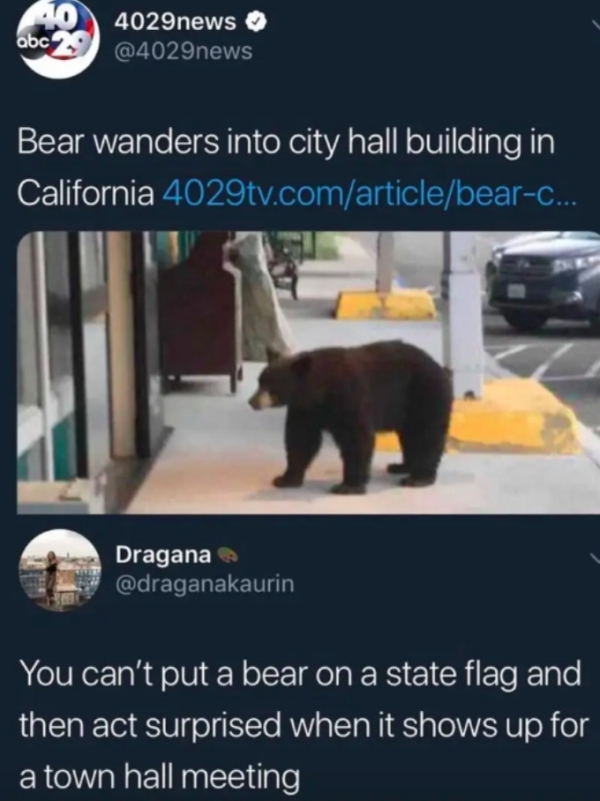 california funny memes - 20 abc 29 4029news Bear wanders into city hall building in California 4029tv.comarticlebearC... Dragana You can't put a bear on a state flag and then act surprised when it shows up for a town hall meeting