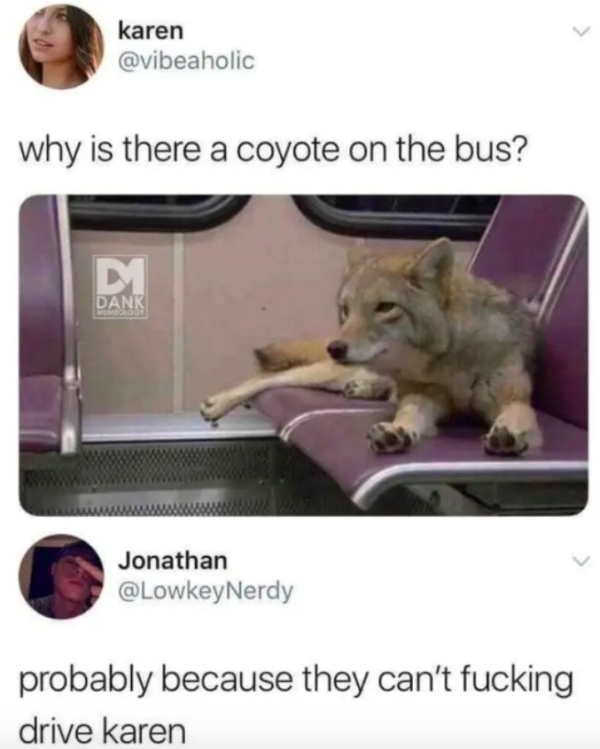 there a coyote on the bus - karen why is there a coyote on the bus? Dank Jonathan probably because they can't fucking drive karen