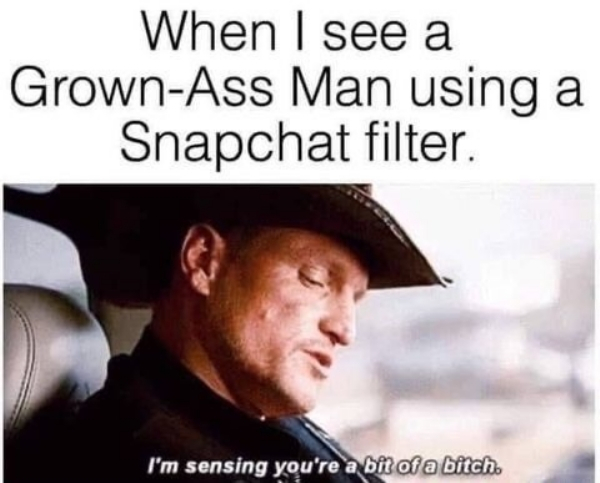 spicy meme - When I see a GrownAss Man using a Snapchat filter. I'm sensing you're a bit of a bitch.