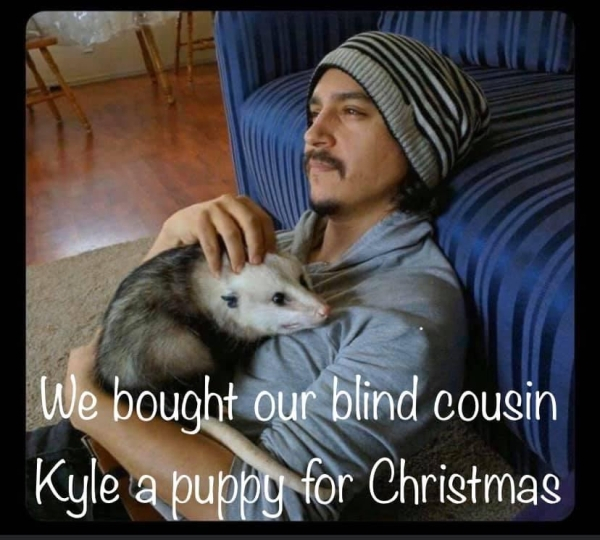 spicy meme - my two hobbies are smoking weed and rescuing stray cats - We bought our blind cousin Kyle a puppy for Christmas