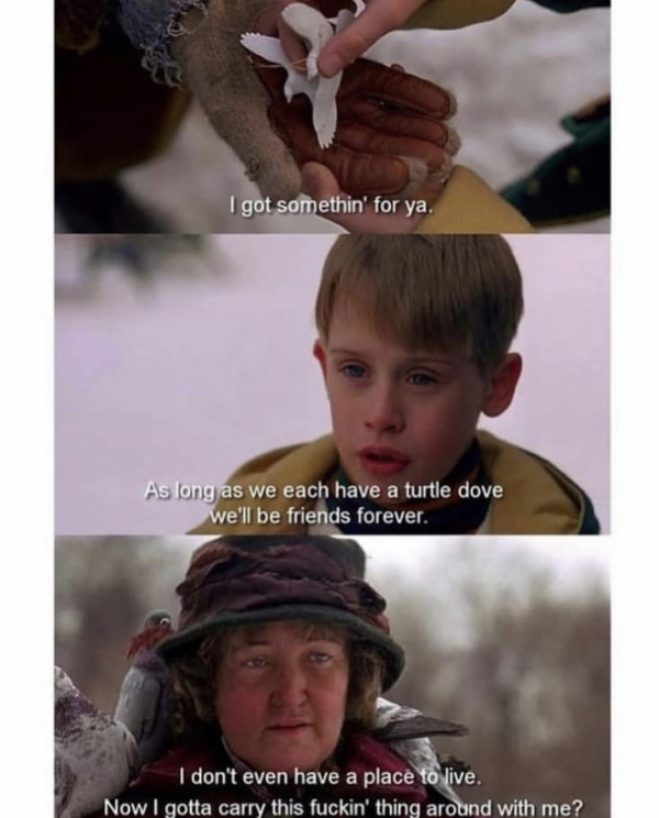 spicy meme - home alone dove meme - I got somethin' for ya. As long as we each have a turtle dove, we'll be friends forever. I don't even have a place to live. Now I gotta carry this fuckin' thing around with me?