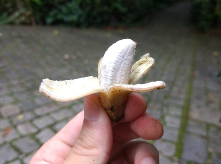 small banana meme