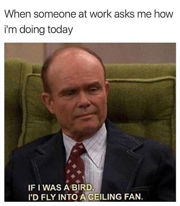 work memes - When someone at work asks me how i'm doing today If I Was A Bird I'D Fly Into A Ceiling Fan.
