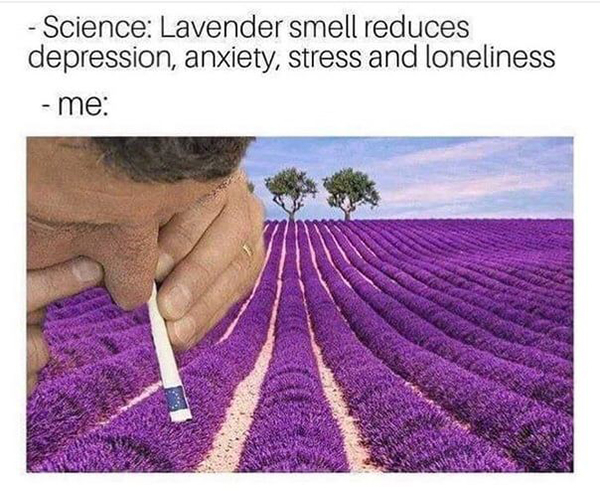 lavender funny - Science Lavender smell reduces depression, anxiety, stress and loneliness me