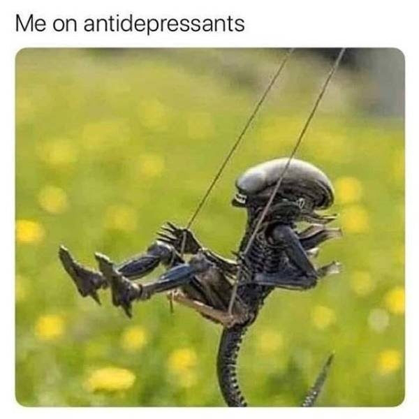 ssris meme - Me on antidepressants