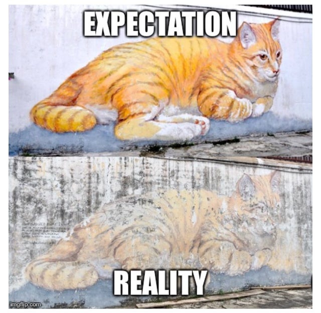 its beautiful - Expectation Reality imgflip.com