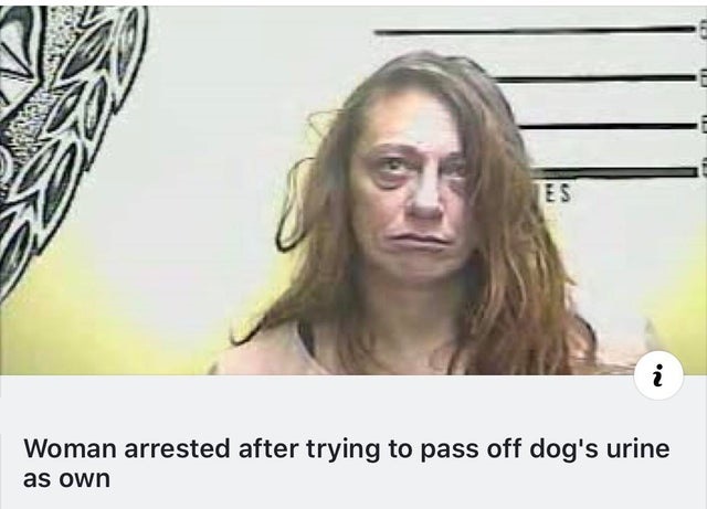 blond - Hu Woman arrested after trying to pass off dog's urine as own