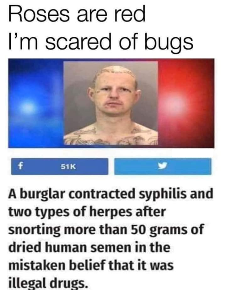 media - Roses are red I'm scared of bugs f 51K A burglar contracted syphilis and two types of herpes after snorting more than 50 grams of dried human semen in the mistaken belief that it was illegal drugs.