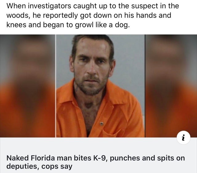 photo caption - When investigators caught up to the suspect in the woods, he reportedly got down on his hands and knees and began to growl a dog. Naked Florida man bites K9, punches and spits on deputies, cops say