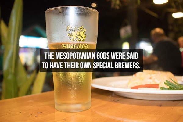 beer - Singha The Mesopotamian Gods Were Said To Have Their Own Special Brewers.