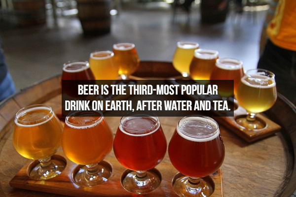 portland craft beer - Beer Is The ThirdMost Popular Drink On Earth. After Water And Tea.
