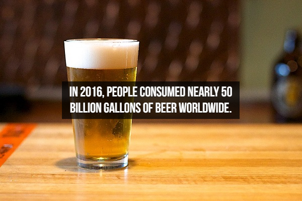 glass of beer - In 2016, People Consumed Nearly 50 Billion Gallons Of Beer Worldwide.