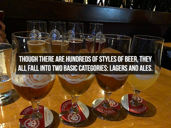 Beer - Though There Are Hundreds Of Styles Of Beer. They All Fall Into Two Basic Categories Lagers And Ales. Mev
