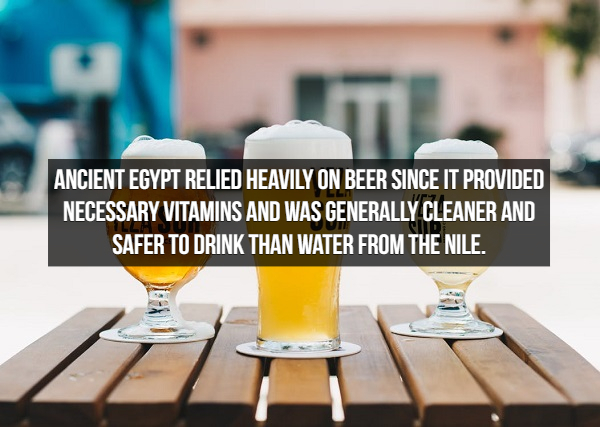 beer glass photography outdoor - Ancient Egypt Relied Heavily On Beer Since It Provided Necessary Vitamins And Was Generally Cleaner And Safer To Drink Than Water From The Nile.