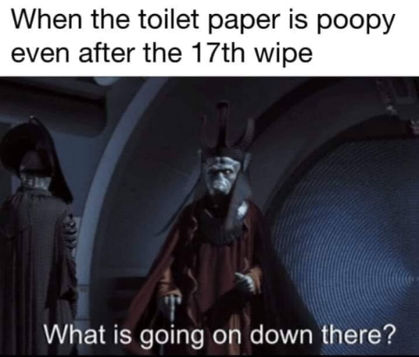 toilet paper is poopy - When the toilet paper is poopy even after the 17th wipe What is going on down there?