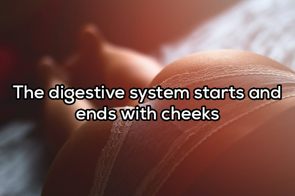 close up - The digestive system starts and ends with cheeks