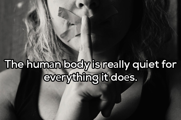 The human body is really quiet for everything it does.