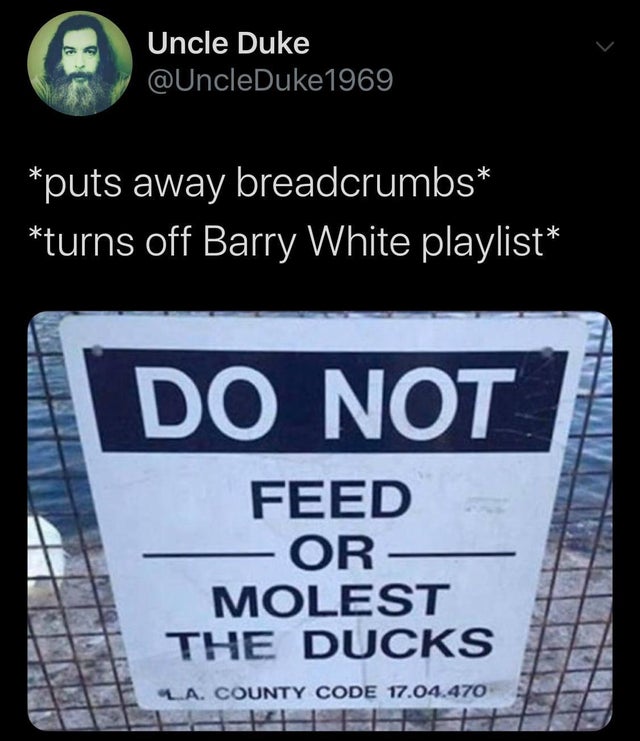 do not feed or molest the ducks - Uncle Duke puts away breadcrumbs turns off Barry White playlist Do Not Feed Or Molest The Ducks La. County Code 17.04.470