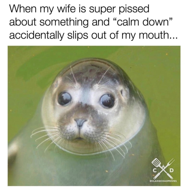 When my wife is super pissed about something and calm down" accidentally slips out of my mouth... Oclassicdadmoves