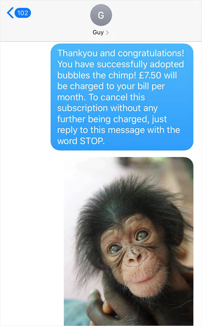 Dude Gets Mercilessly Pranked by a Bored Lady and Some Chimp Pics