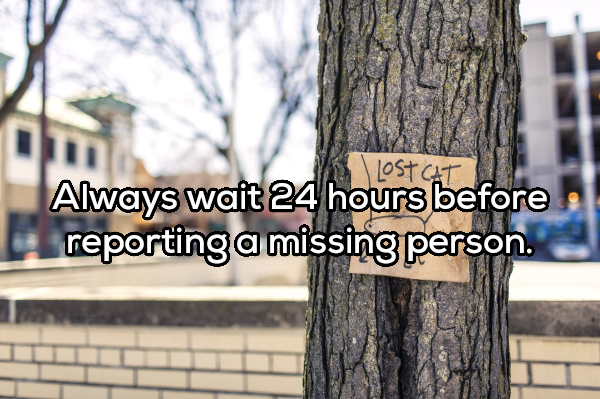 missing sign on tree - Lostcat Always wait 24 hours before reporting a missing person.