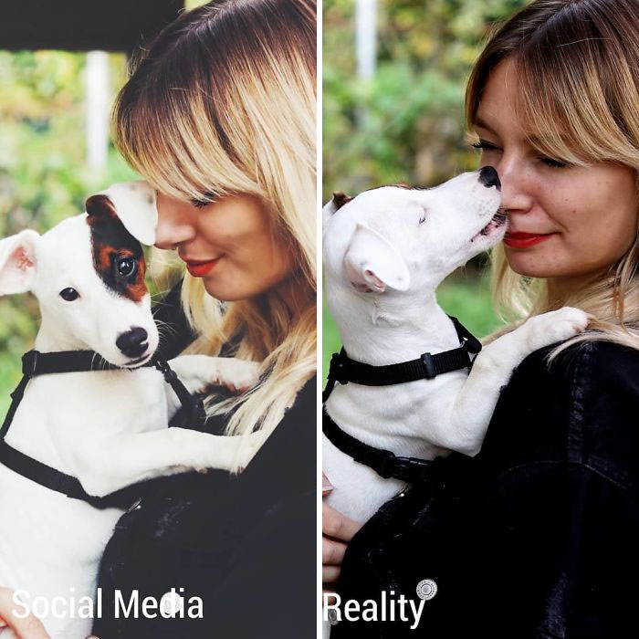 dog - Social Media Reality