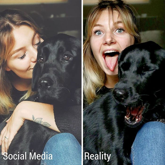snout - Social Media Reality