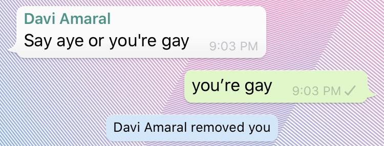 document - Davi Amaral Say aye or you're gay you're gay Davi Amaral removed you
