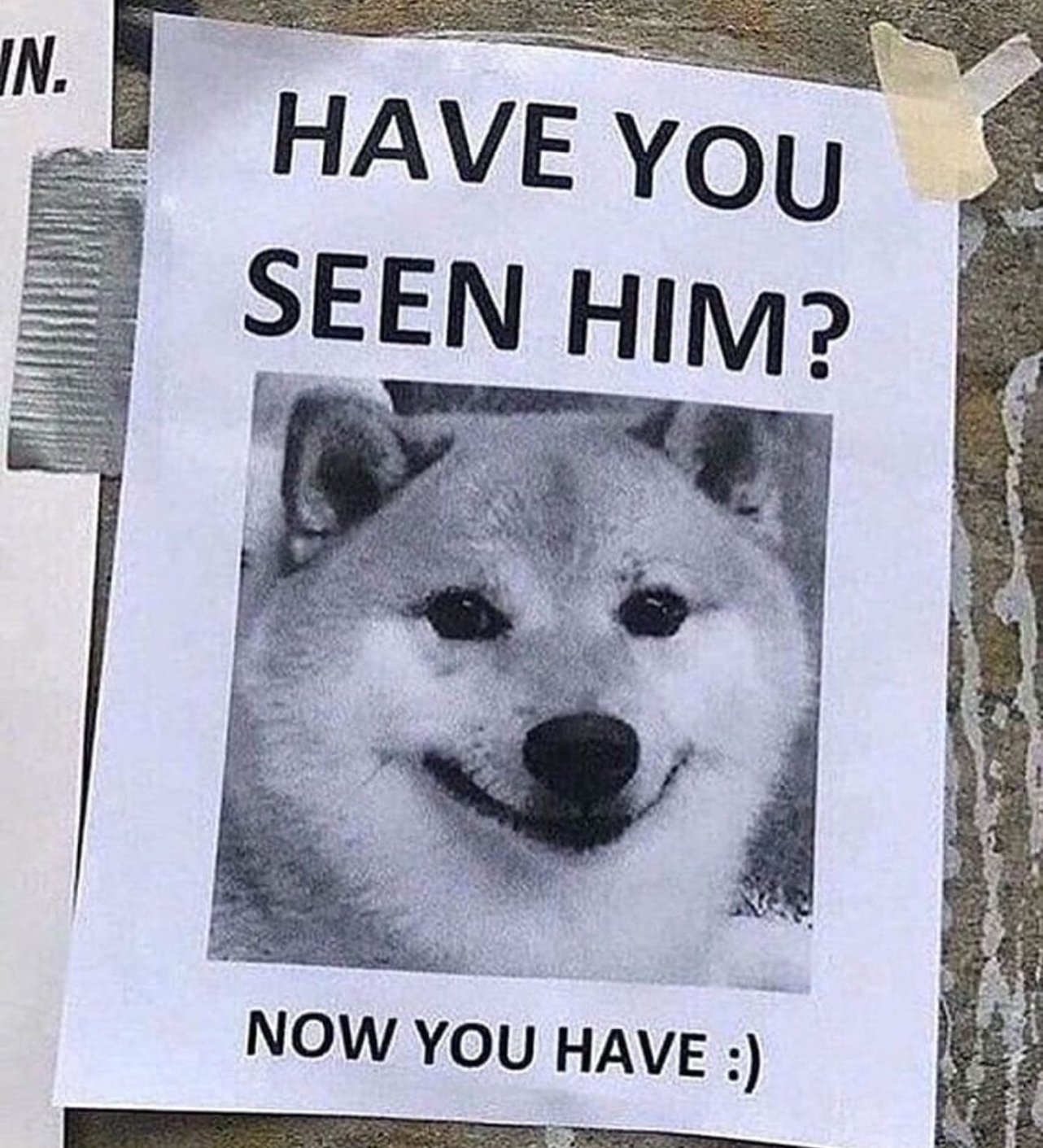 shobe meme - In. Have You Seen Him? Now You Have