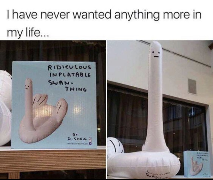 big dildo meme - Thave never wanted anything more in my life... Ridiculous In Flatable Swan Thing D. Shrigo