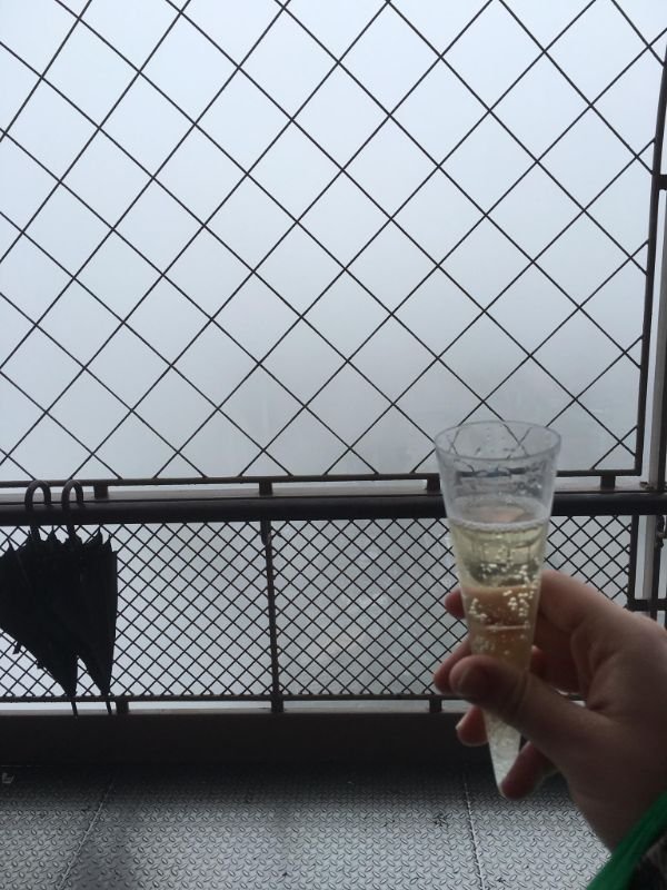 “Wife and I visited the Eiffel Tower for our honeymoon.”