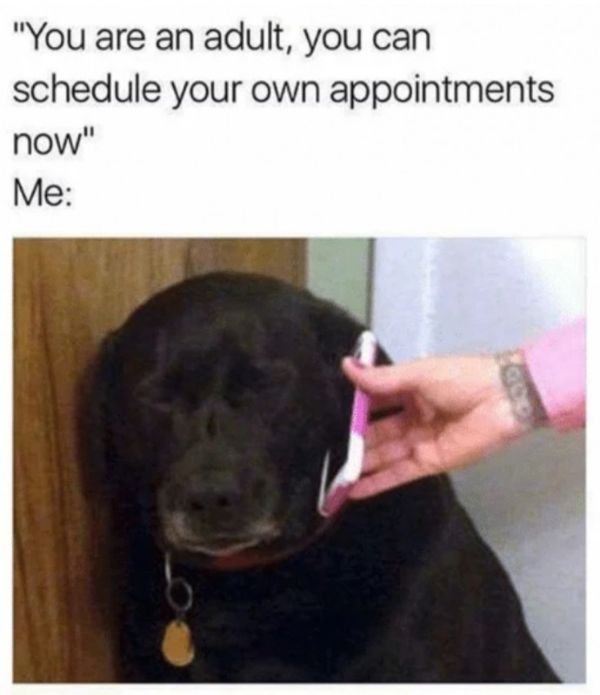 adulting memes - "You are an adult, you can schedule your own appointments now" Me