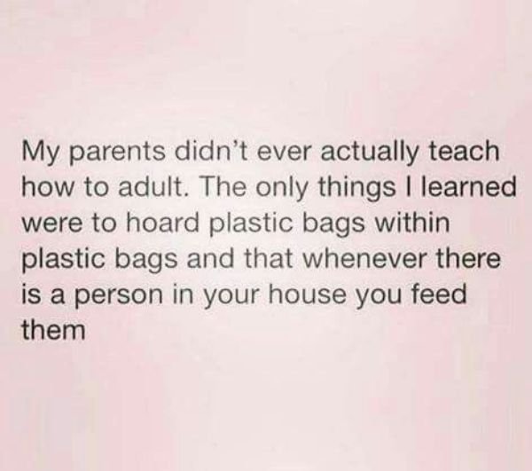 nice things - My parents didn't ever actually teach how to adult. The only things I learned were to hoard plastic bags within plastic bags and that whenever there is a person in your house you feed them