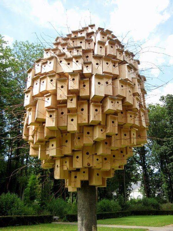 bird feeder installation art