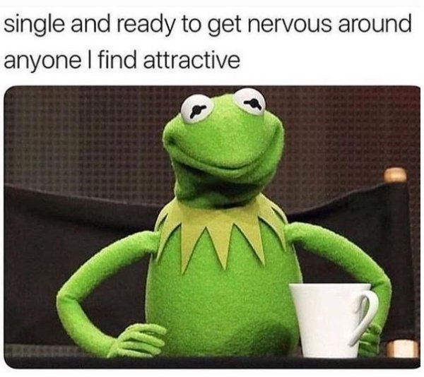 kermit the frog meme - single and ready to get nervous around anyone I find attractive