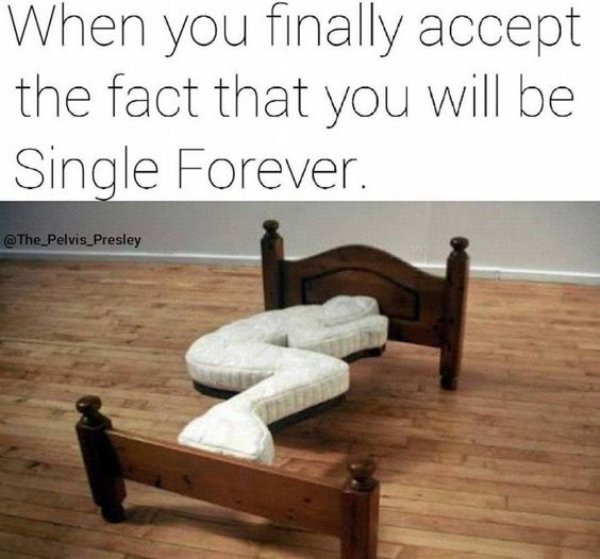 single forever meme - When you finally accept the fact that you will be Single Forever Presley